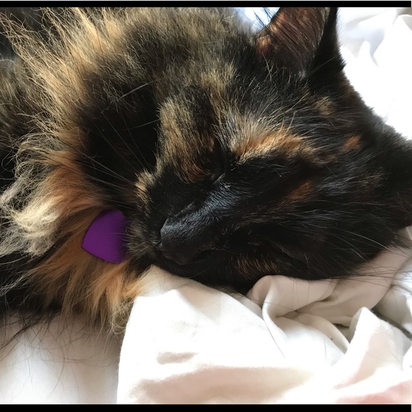 Meet your Posher, Ashley - Picture 3 of 4